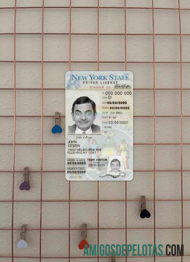 Carteira de habilitação dos EUA em Nova York para menores de 21 anos fotolook frente modelo